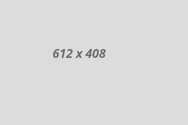 divider01